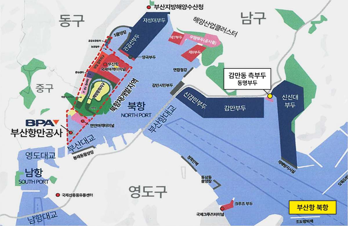 청해 감만동 측두부